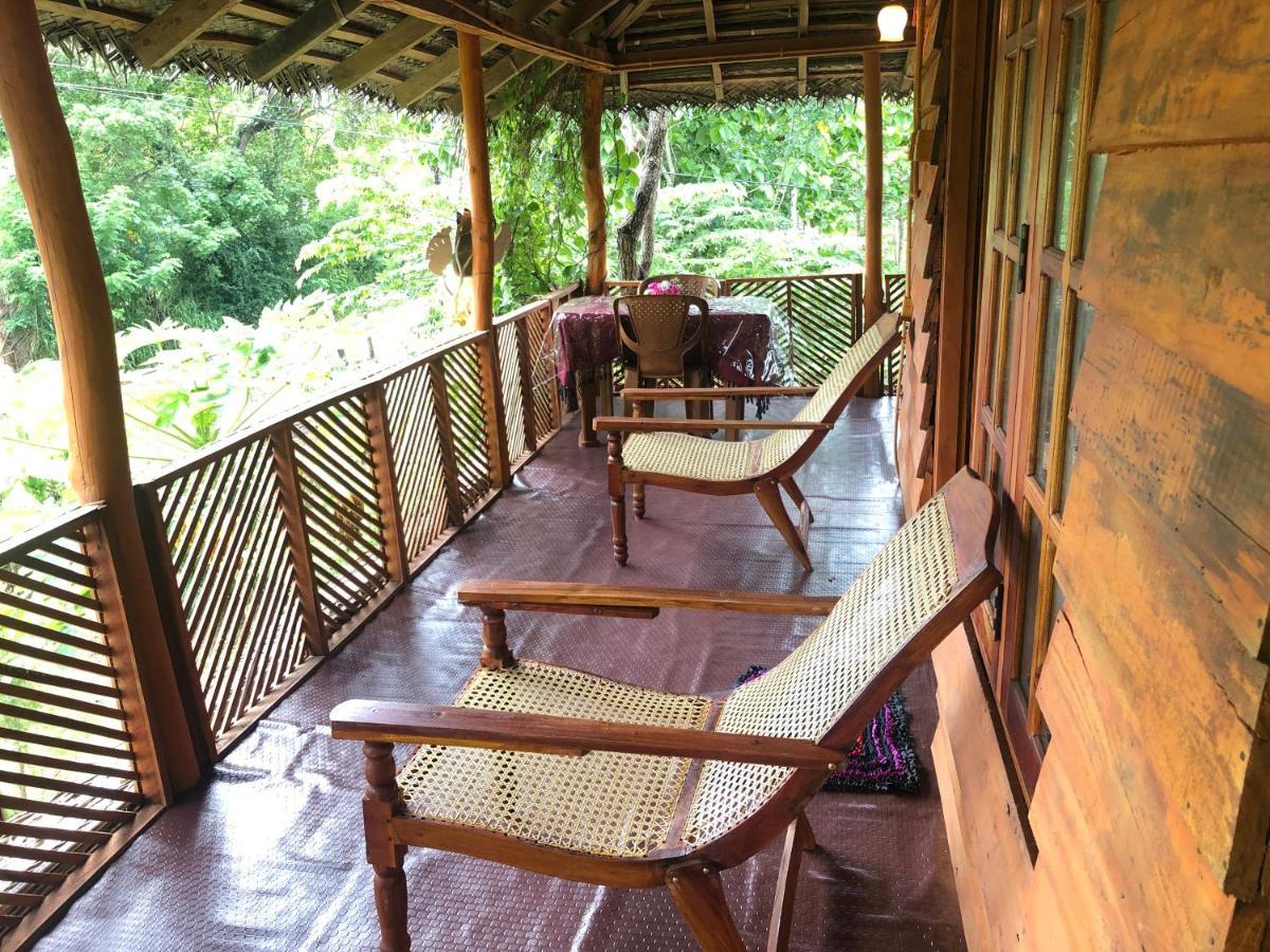 Sigiri Lion Eco Palace Sigiriya Esterno foto